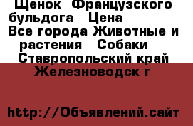 Щенок  Французского бульдога › Цена ­ 35 000 - Все города Животные и растения » Собаки   . Ставропольский край,Железноводск г.